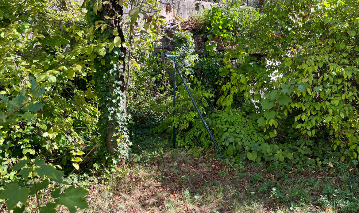 a3c95e3c